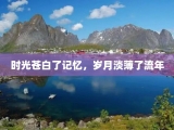 时光苍白了记忆，岁月淡薄了流年