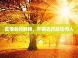 在低谷的时候，不要去打扰任何人