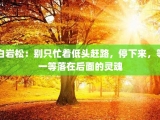 白岩松：别只忙着低头赶路，停下来，等一等落在后面的灵魂