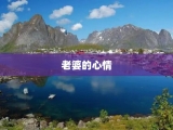 老婆的心情