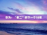 华为：“老二”的下一个10年