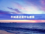 不知道这是什么感觉