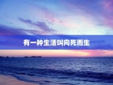 有一种生活叫向死而生