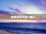 你我终究不是一路人