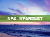 对不起，我不会再喜欢你了