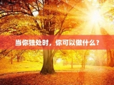 当你独处时，你可以做什么？