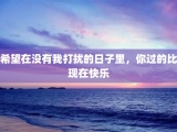 希望在没有我打扰的日子里，你过的比现在快乐