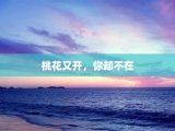 桃花又开，你却不在