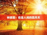 林徽因：你是人间的四月天