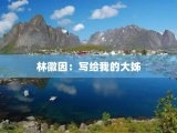 林徽因：写给我的大姊