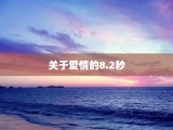 关于爱情的8.2秒