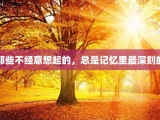 那些不经意想起的，总是记忆里最深刻的