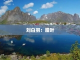 刘白羽：腊叶