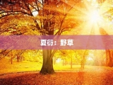 夏衍：野草