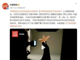 《泰坦尼克号》主题曲献唱人席琳·迪翁上月宣布复出，却因仍受罕见病困扰取消全国巡演