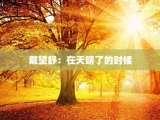 戴望舒：在天晴了的时候