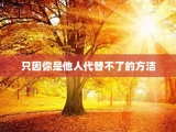 只因你是他人代替不了的方洁