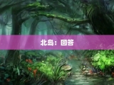 北岛：回答