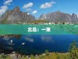 北岛：一束