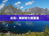 北岛：枫树和七颗星星