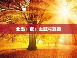 北岛：夜：主题与变奏