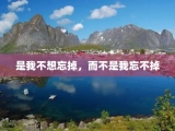 是我不想忘掉，而不是我忘不掉