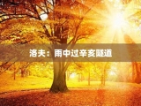 洛夫：雨中过辛亥隧道