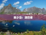 韩少功：津巴佬