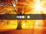 冯雪峰：夜