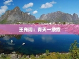 王充闾：青天一缕霞