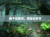 挽不住春风，就留住岁月