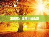 王统照：微雨中的山游