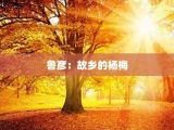 鲁彦：故乡的杨梅