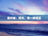 雷抒雁：阳光，是一种语言