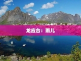 龙应台：雨儿