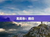 龙应台：魂归