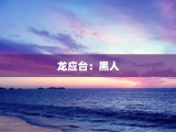 龙应台：黑人