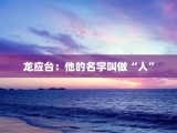 龙应台：他的名字叫做“人”
