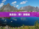 龙应台：啊！洋娃娃