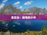 龙应台：触电的小牛