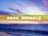 挑战逆境，赢得辉煌的人生