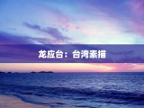 龙应台：台湾素描