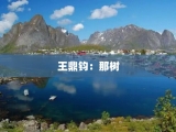 王鼎钧：那树