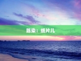 陈染：纸片儿