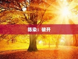 陈染：破开