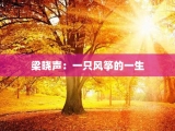梁晓声：一只风筝的一生