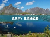 梁晓声：玉顺嫂的股