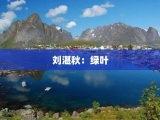 刘湛秋：绿叶