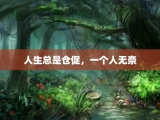人生总是仓促，一个人无奈