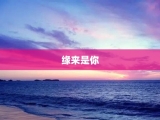 缘来是你